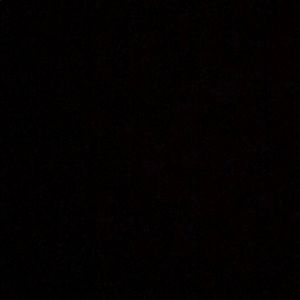 Meet your Posher, Gary